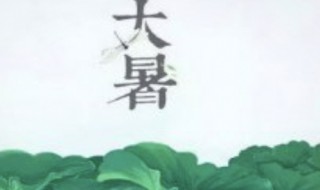 大暑是哪一天2021（大暑是哪一天几月几号）