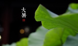 关于大暑的谚语有哪些（大暑的民间谚语）