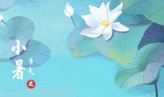 小暑忌讳什么（小暑不宜什么）