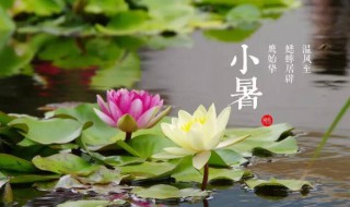 2021小暑大暑是什么时间 2021小暑是什么时间?