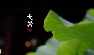 2021牛年大暑节气搬家好不好（2021牛年大暑节气后出生好吗）
