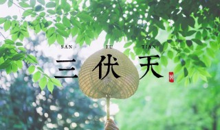 2021年三伏天时间表共多少天（2021年三伏天的具体时间）