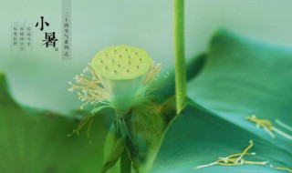 小暑是伏天吗（伏天就是大暑小暑吗）