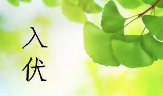 2021哪天入伏哪天出伏（哪天入伏2021年伏天）