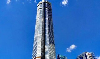 赛格大厦什么时候建的 赛格大厦啥时候建的