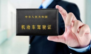 怎么查询驾驶证分数 怎么查询驾驶证分数在哪里扣的