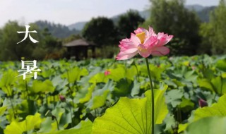 2021年大暑民间活动 2021年大暑时节