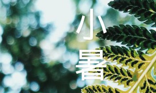 小暑农事歌（小暑的农事安排）