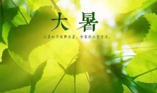 大暑过后气温下降吗（大暑过后天气）