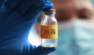 新冠疫苗第一针和第二针隔多久 新冠疫苗第一针和第二针隔多久可以打