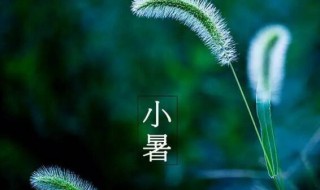 2021年小暑后第一个未日是什么时候（2021年小暑是哪一天）