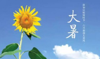 处暑和大暑哪个更热（处暑和大暑哪个更热些）