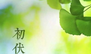 初伏有什么讲究（初伏这一天有什么讲究吗）