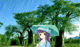 小暑下雨好还是不下雨好（小暑天下雨好吗）
