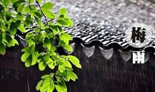 杭州梅雨季节是几月份（杭州梅雨季节是几月份?）