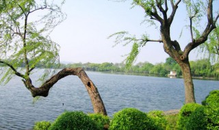 西湖周长多少公里（西湖周长约多少公里）