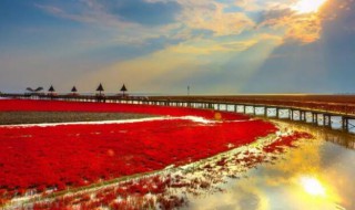 国家的实质是（国家的实质是( ）