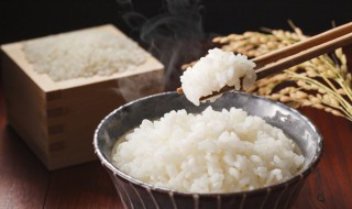 碳水化合物是指 碳水化合物是指哪些食物