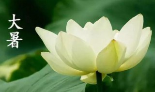 24节气大暑是什么意思 大暑是24节气吗