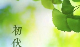 2021什么是三伏天 2021年三伏天是哪三伏