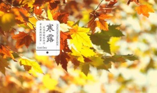 寒露节气的含义是什么以及养生技巧（寒露节气的理解）