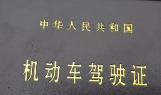 驾驶证怎么查询（驾驶证怎么查询考试成绩）