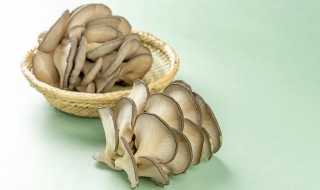 平菇如何清洗 平菇如何清洗比较干净