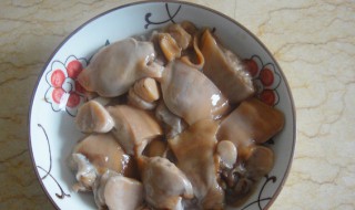 河蚌肉哪些不能吃（河蚌的做法和吃法）