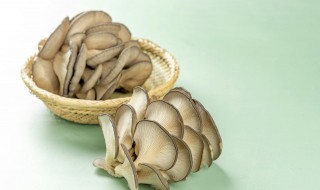 蘑菇发霉能吃吗 蘑菇发霉能吃吗