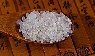 米生虫还能吃吗（米生虫了还能吃了吗）