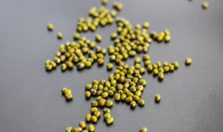 绿豆发芽了还能吃吗 新鲜绿豆发芽了还能吃吗