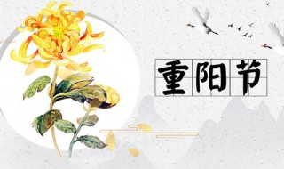 重阳节生日说说 重阳节生日发圈语句