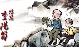 重阳节的感慨（重阳节感慨父母老了,自己也老了）
