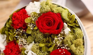 送男生什么花比较好 送花给男朋友送什么花比较好