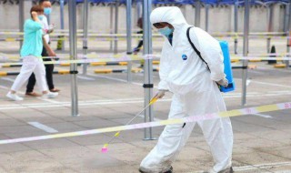白蚊防治消杀方法 白蚊防治消杀方法视频