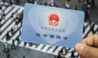 如何交纳社保（如何交纳社保在手机上）