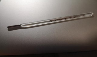 体温计使用方法 水银体温计使用方法