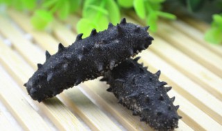 海参怎么保存方法 干海参的最佳保存方法