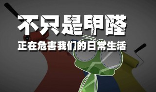除甲醛最良心的方法（除甲醛最良心的方法视频）