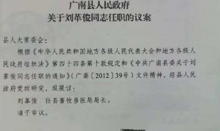 情况说明格式及范文（情况说明格式及范文字体大小）