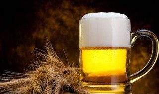 戒啤酒的最好方法 戒啤酒的最好方法