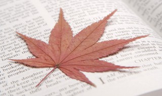 心若向阳的励志的句子 心若向阳的励志的句子英文