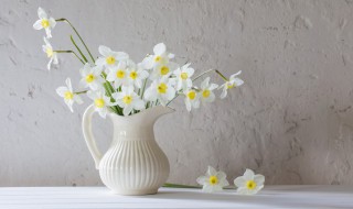 晒花怎么文字发朋友圈（自己拍的花怎么配文字）