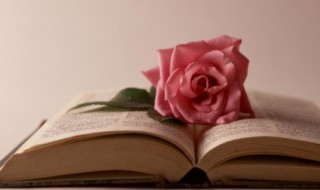 退伍军人励志句子（退伍励志短句）