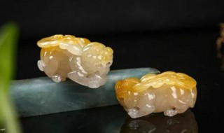 貔貅什么材质的最招财（貔貅最忌讳什么生肖）