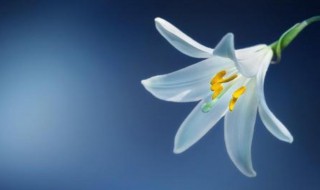 吃一堑长一智人生感悟（吃一堑长一智人生感悟作文）