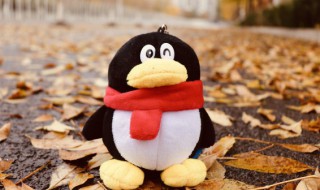 qq聊天记录怎么找回来（十年前的qq聊天记录怎么找回来）