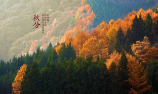 秋分谚语（秋分谚语有哪些）