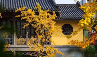 几月几号秋分 几月几日秋分