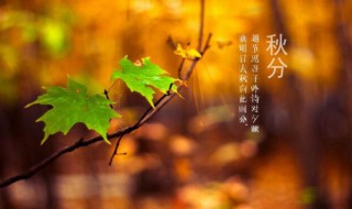 秋分是什么季节（秋分是什么季节,是几月几日）
